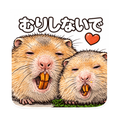 Cute Fluffy Animals 40 Vol.4