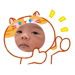 Potter na kub_20260220112635