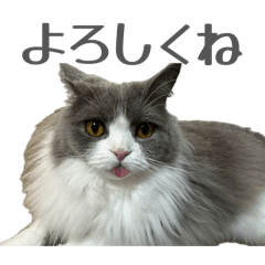 spam-bell_20260219232723