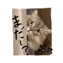 suu1376_20260220145600