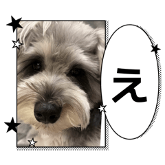 naoko_20260217121545