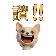 Taiwanese Smooth Chihuahua 39