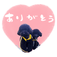 petite plume_20260220161624