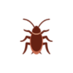 Cockroaches are adorable.