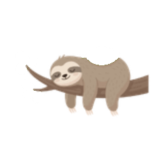 Sloths sleep so happily