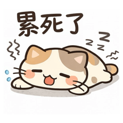 可愛貓咪的日常實用對話