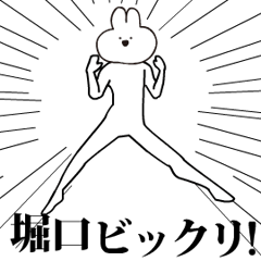 Rabbit Name horiguchi.moves!