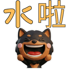 動く台湾語のブラタンポメラニアン40