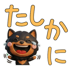 3D Black & Tan Pomeranian 27