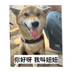 我是妞妞扭牛牛ㄋㄧㄡ