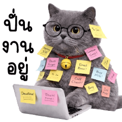 Little Tao was almost dili