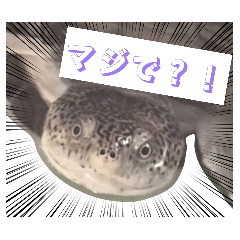 mimichan_20260220160703