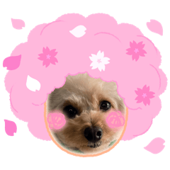 marux_20260220160310