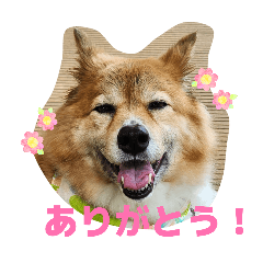 SoraneTorino_20260220155100