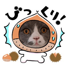 Sasasa_20260220155307