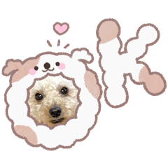 na-chan_20260220123609