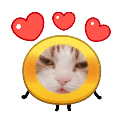 shirosachi_20260220123420