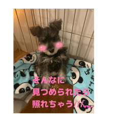 koparu_20260217191956