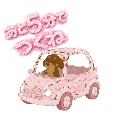 Animalcreation_20260221065812