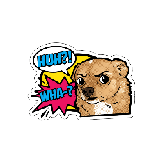 Sinx Cinx_20260221003947