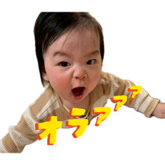 nacchi_20260220105311