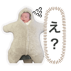 taig@_20260220162648