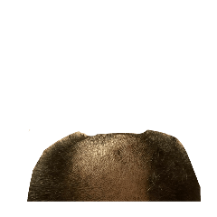 kaomaru_20260220161858