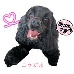 NIKKEstanp_20260220163121