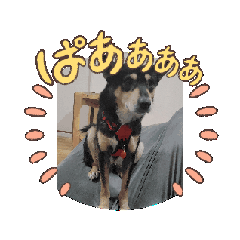 masa_20260220182026