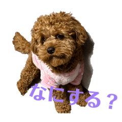 akihito_20260220001944