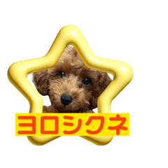 HENOHENOMOHEJI_20260220003632