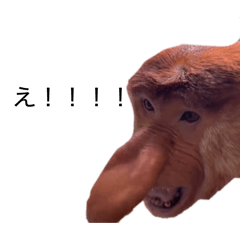 yuman_20260217215221