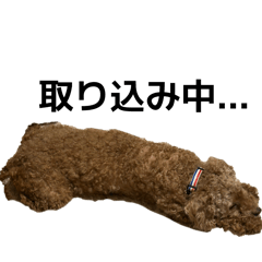 inuinu_20260220220309