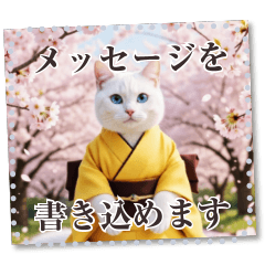 書き込める♥桜と着物のネコ　フレーム