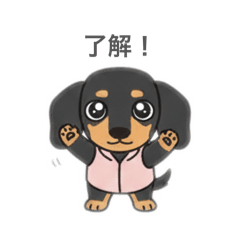 Marosan_20260220083110