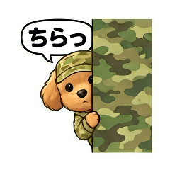 chie_20260220084047