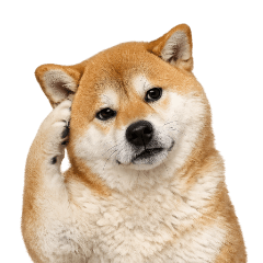 柴犬的狗生百態(無字版)