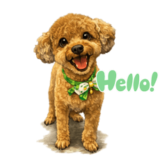 omomo_20260220180855