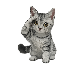 A cute and understanding cat lover 1942