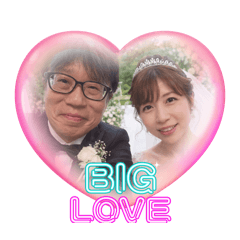 hachi_20260220164259