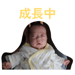 sheeeep_20260220164234