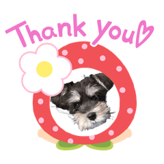 tomomi_20260220200548