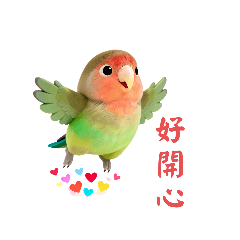 小鸚愛情鳥可愛貼圖