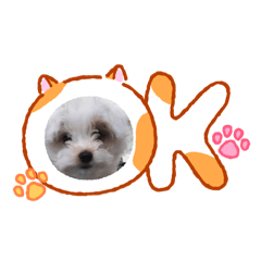 kazoku_20260220174631