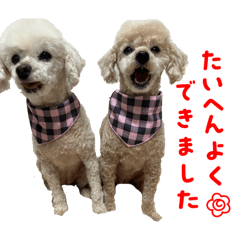 Susachan_20260220181627