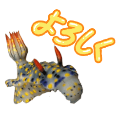 Cheese_20260220181757