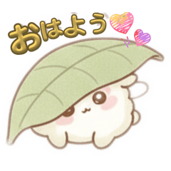 Yuki26222_20260221025736