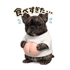 Mugi_20260221091125