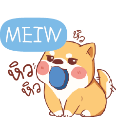 MEIW Shiba naughty dog e