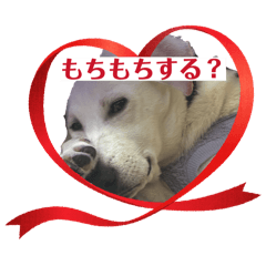 T_20260220183208